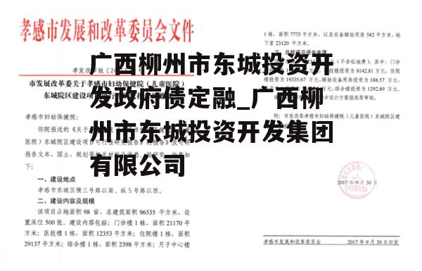 广西柳州市东城投资开发政府债定融_广西柳州市东城投资开发集团有限公司