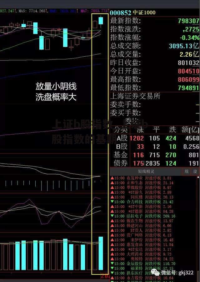 上证b股指数_上证b股指数的基期