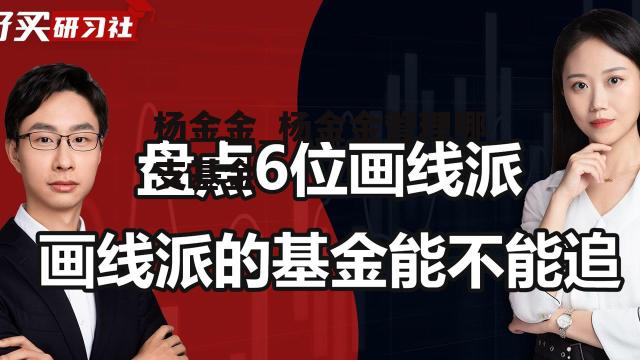 杨金金_杨金金管理哪支基金