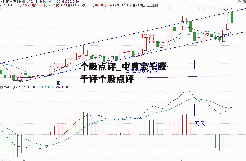 个股点评_中青宝千股千评个股点评