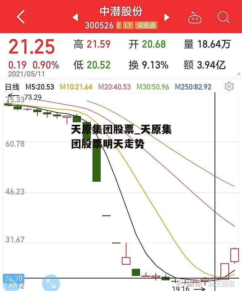 天原集团股票_天原集团股票明天走势