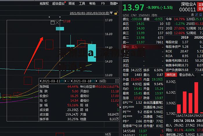 深物业a_深物业a最新消息