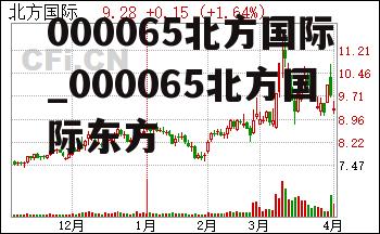 000065北方国际_000065北方国际东方