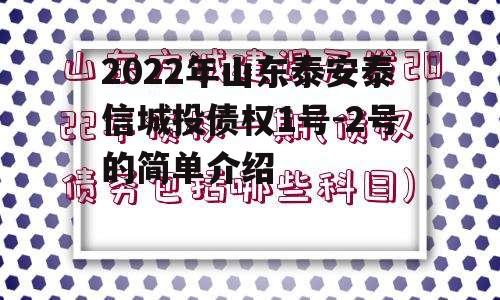 2022年山东泰安泰信城投债权1号-2号的简单介绍