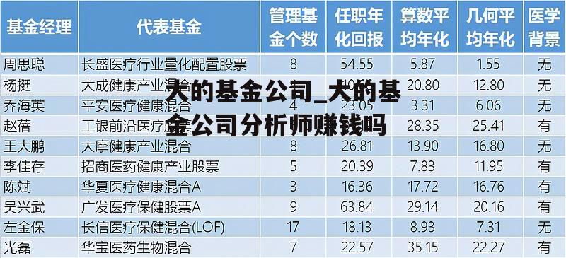 大的基金公司_大的基金公司分析师赚钱吗