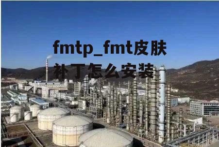 fmtp_fmt皮肤补丁怎么安装