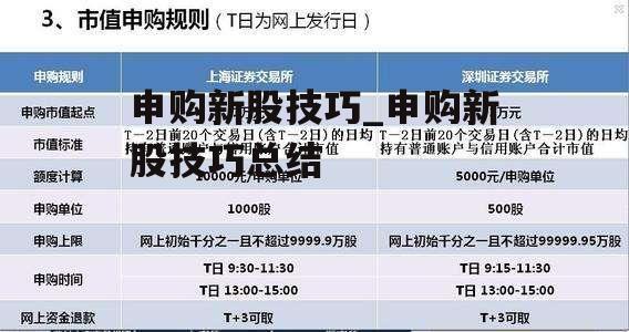 申购新股技巧_申购新股技巧总结