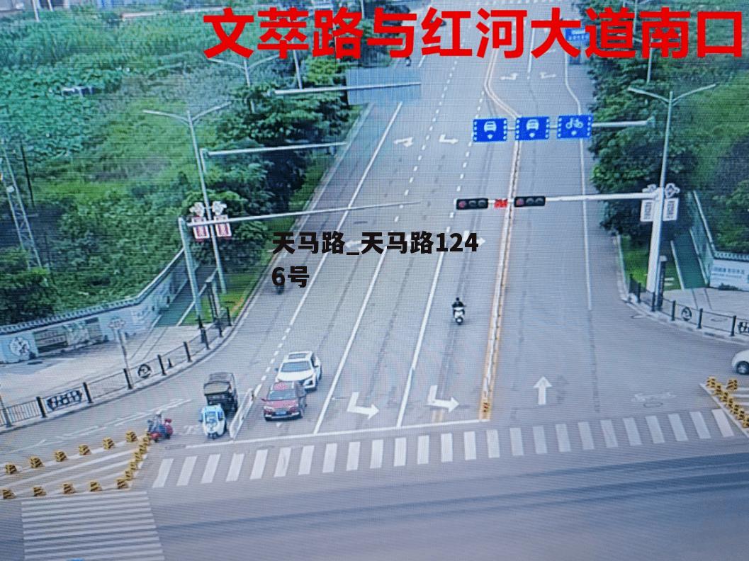 天马路_天马路1246号