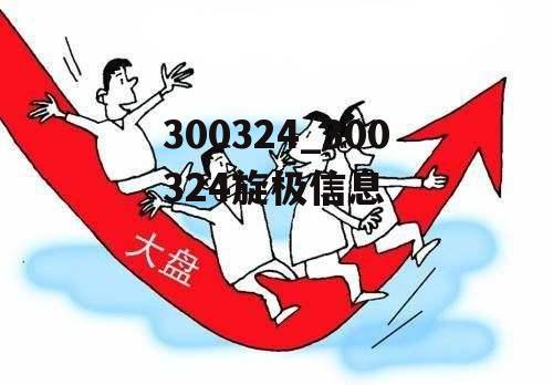 300324_300324旋极信息