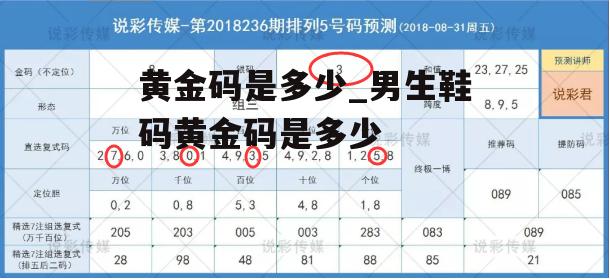 黄金码是多少_男生鞋码黄金码是多少