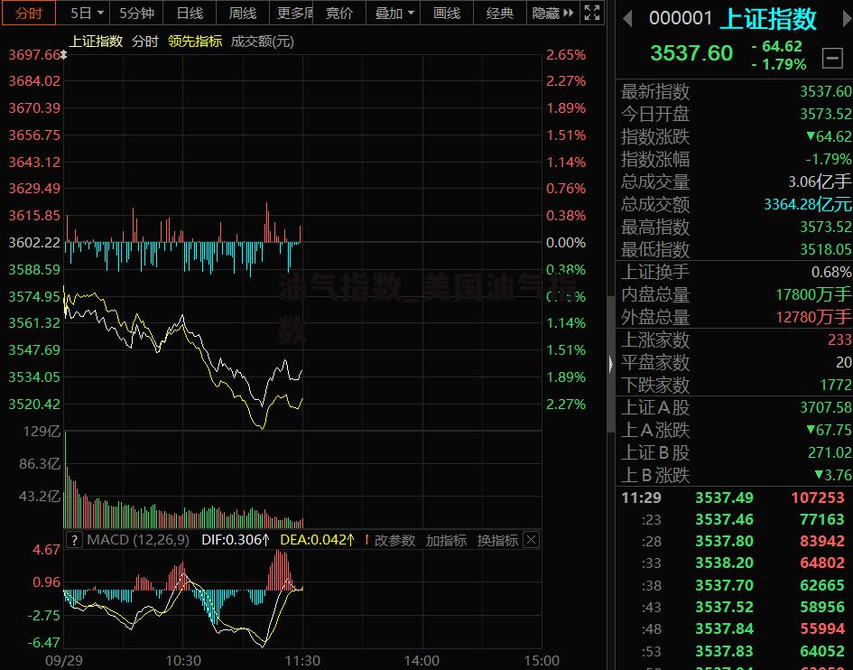 油气指数_美国油气指数