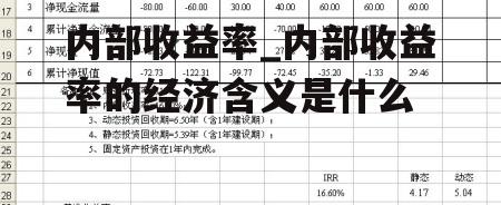 内部收益率_内部收益率的经济含义是什么