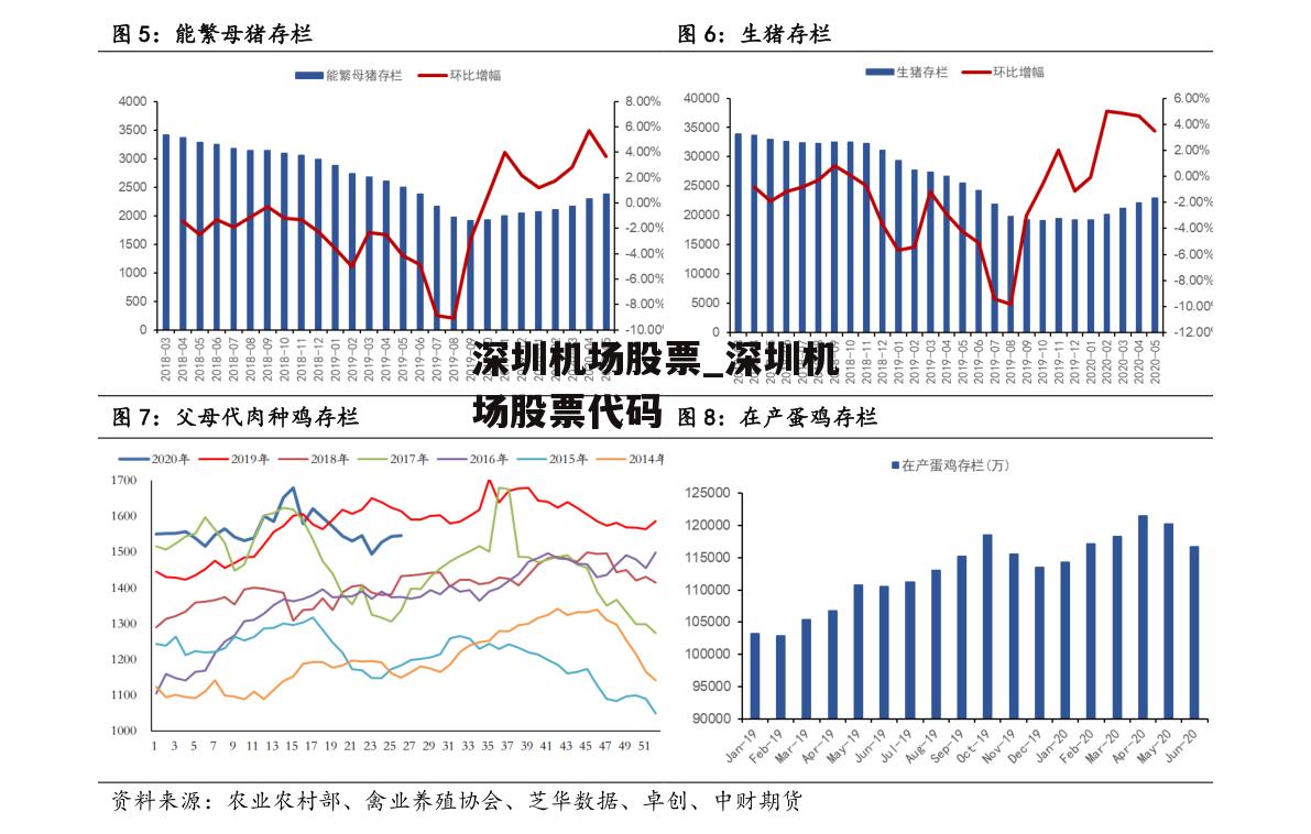 深圳机场股票_深圳机场股票代码