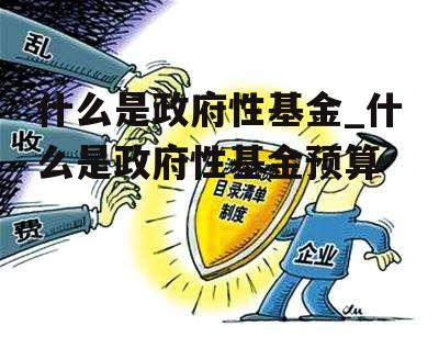 什么是政府性基金_什么是政府性基金预算