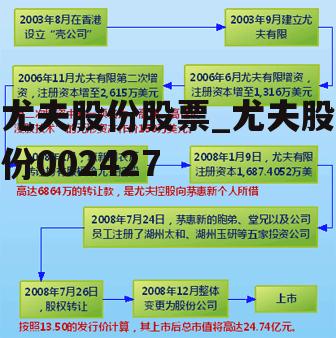 尤夫股份股票_尤夫股份002427