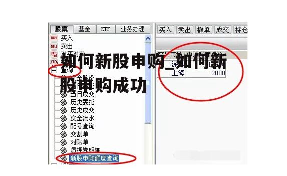 如何新股申购_如何新股申购成功