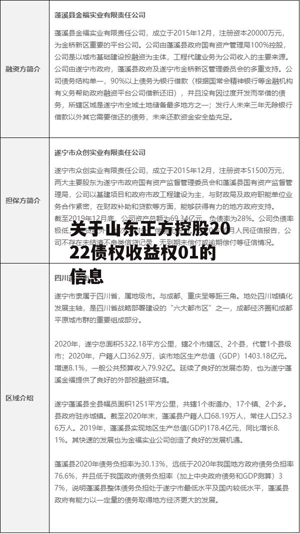 关于山东正方控股2022债权收益权01的信息