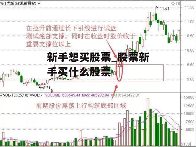 新手想买股票_股票新手买什么股票