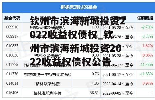 钦州市滨海新城投资2022收益权债权_钦州市滨海新城投资2022收益权债权公告