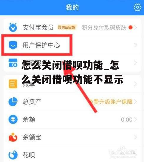 怎么关闭借呗功能_怎么关闭借呗功能不显示