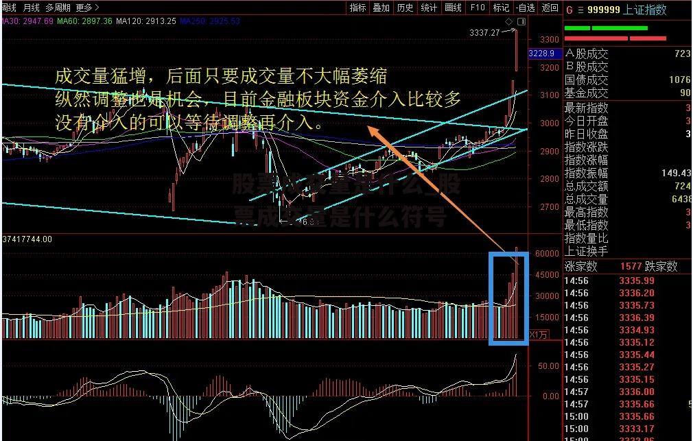 股票成交量是什么_股票成交量是什么符号