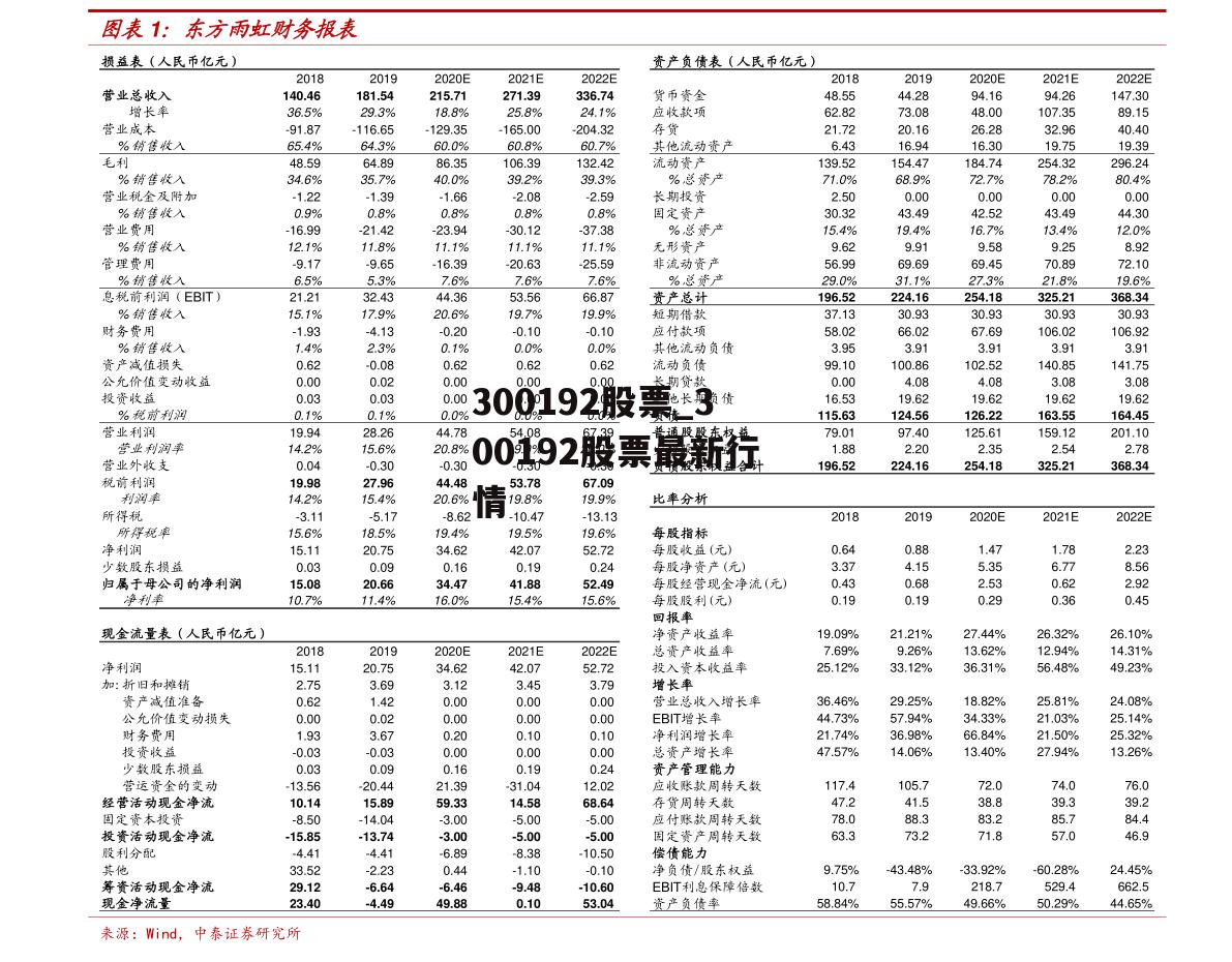 300192股票_300192股票最新行情