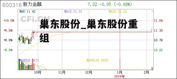 巢东股份_巢东股份重组