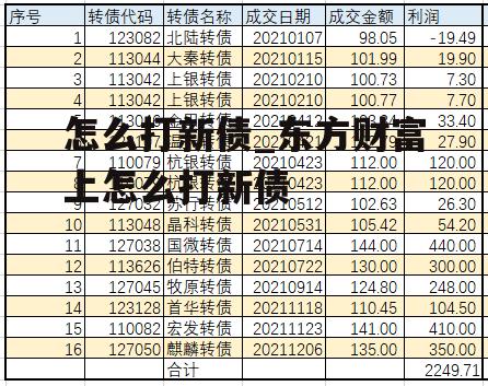 怎么打新债_东方财富上怎么打新债