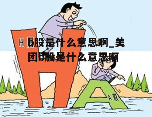 b股是什么意思啊_美团b股是什么意思啊