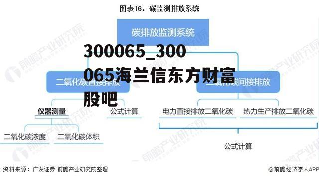 300065_300065海兰信东方财富股吧