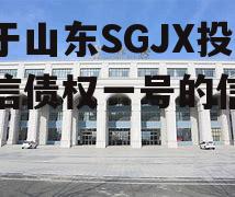 关于山东SGJX投控政信债权一号的信息