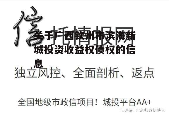 关于广西钦州市滨海新城投资收益权债权的信息