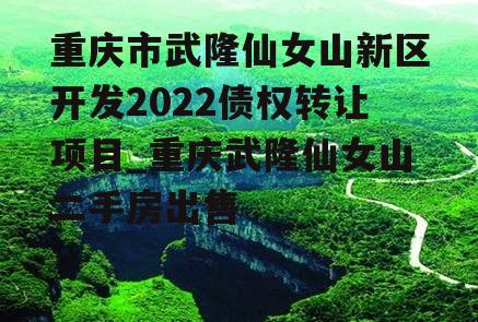 重庆市武隆仙女山新区开发2022债权转让项目_重庆武隆仙女山二手房出售