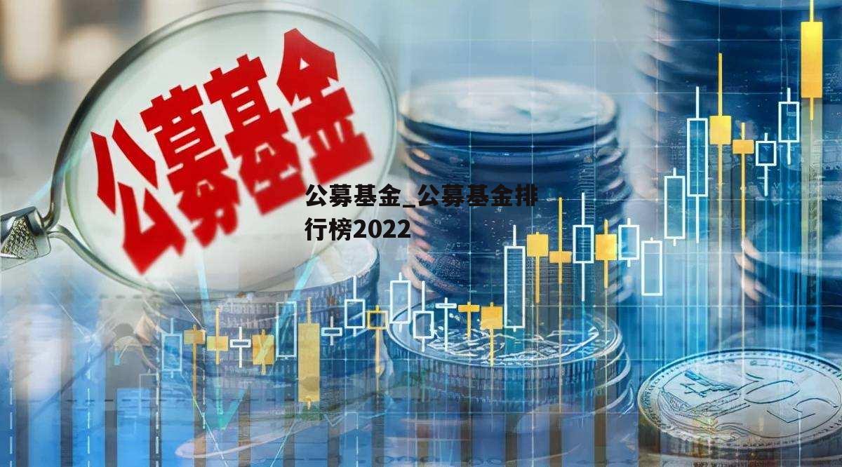 公募基金_公募基金排行榜2022