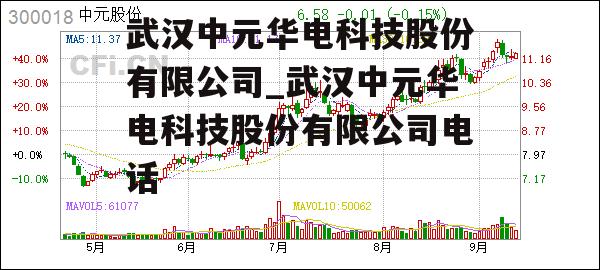 武汉中元华电科技股份有限公司_武汉中元华电科技股份有限公司电话