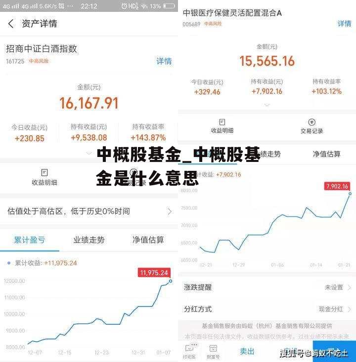 中概股基金_中概股基金是什么意思