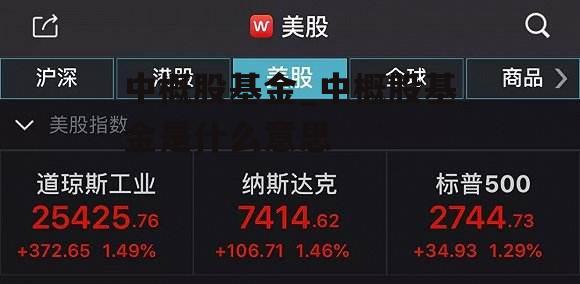 中概股基金_中概股基金是什么意思