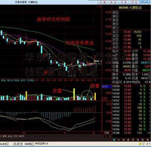 华东科技股票_华东科技股票最新消息