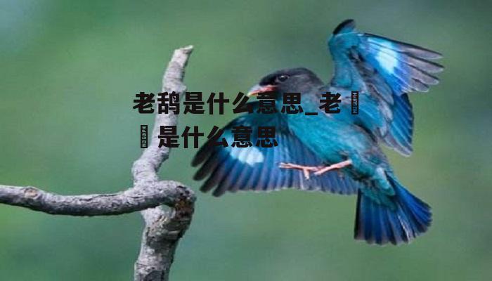 老鸹是什么意思_老歘歘是什么意思