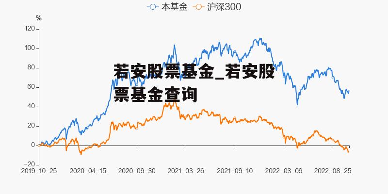 若安股票基金_若安股票基金查询