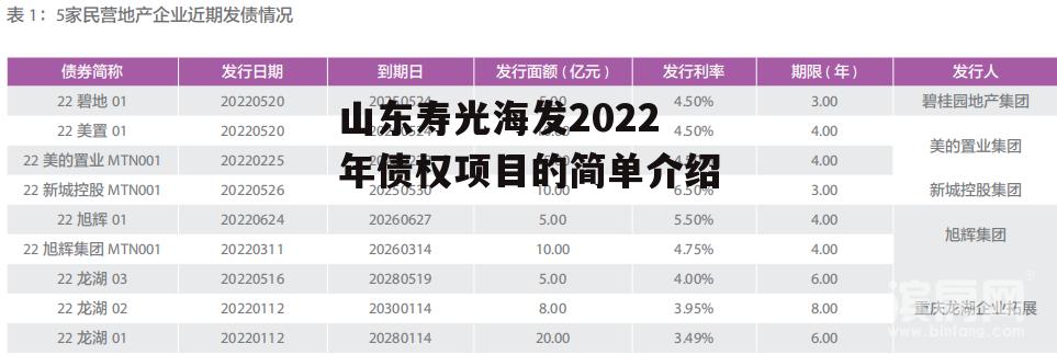 山东寿光海发2022年债权项目的简单介绍