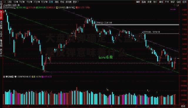 大盘反弹确定_大盘无量反弹意味着什么