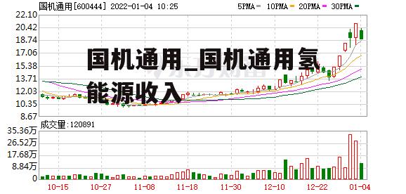 国机通用_国机通用氢能源收入