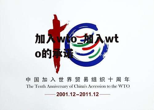 加入wto_加入wto的承诺