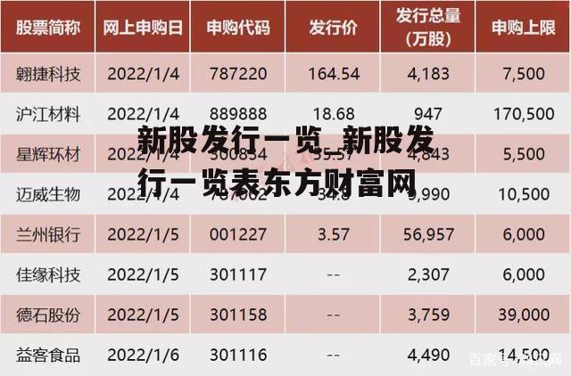 新股发行一览_新股发行一览表东方财富网