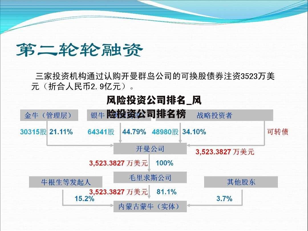 风险投资公司排名_风险投资公司排名榜