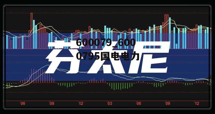 600079_6000795国电电力