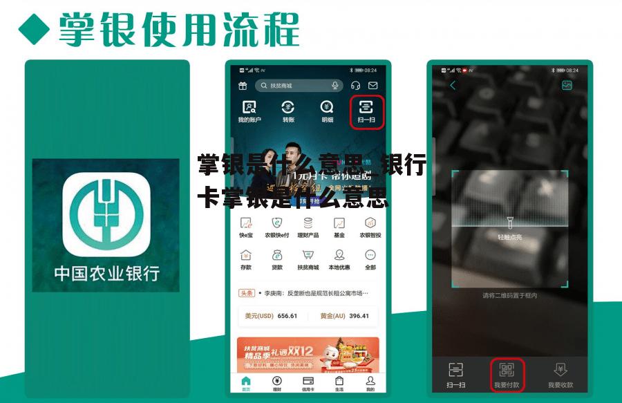 掌银是什么意思_银行卡掌银是什么意思