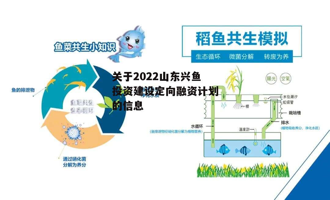 关于2022山东兴鱼投资建设定向融资计划的信息