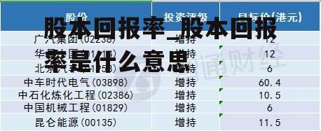 股本回报率_股本回报率是什么意思